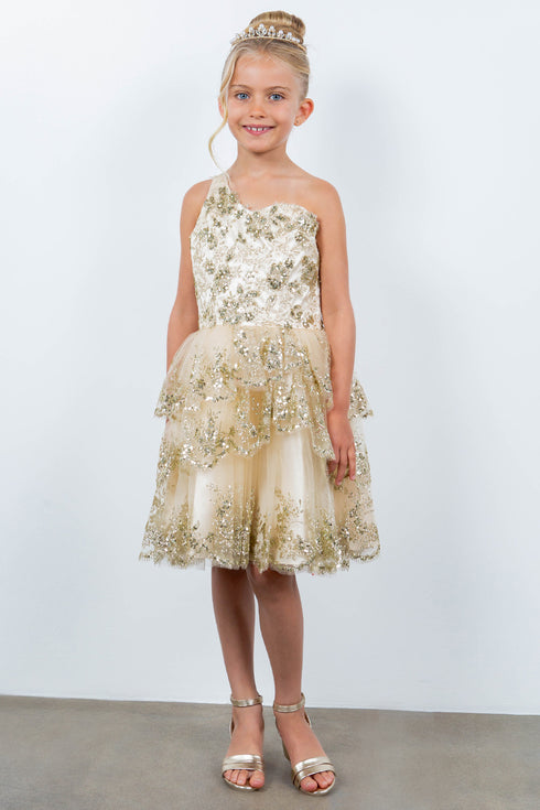 Girls One Shoulder Multi Layered Tulle Dress 4-16